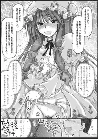 (C81) [Ankoku-Bousougumi (Ainu Mania)] Dereru Daitoshokan (Touhou Project)