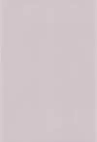 (C59) [Cheese-iri Kamaboko-dou (Mako Cube)] Hikari Mania (Digimon Adventure 02)