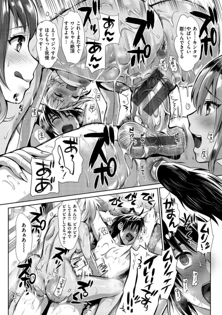 Junjou Bitch Harem - Innocent Bitch Harem