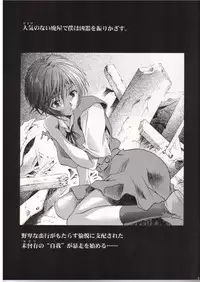 [Henrei-kai (Kawarajima Kou)] AYANAMI SUMMIT (Neon Genesis Evangelion)