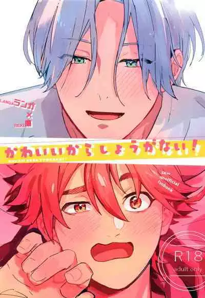 Kawaīkara shōganai!