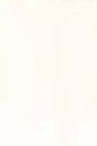 [Sakurafubuki Nel] Love Minimum