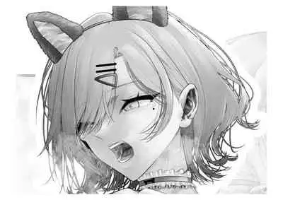 [Tsuchikuda Material]