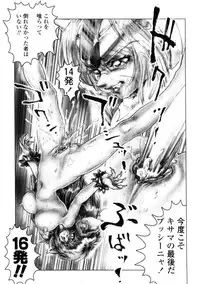 [Neo' Gentle] Zenkai Shoujo Casty - SPLADY CASTY