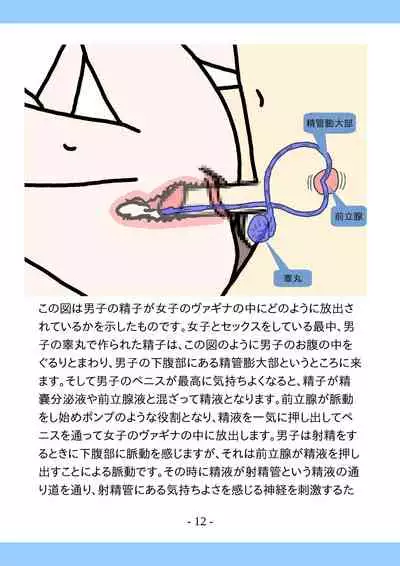 Shishunki no Tame no Tottemo Kimochii Sex no Ohanashi