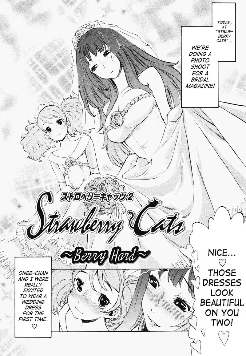 Poko to Wonderful7 - Strawberry Cats