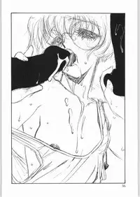 [WORKS-MARUMA (various)] ENAMEL