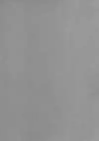 (SC2017 Winter) [Renainou (Mizuyuki)] Benkyounesshin na Oshiego