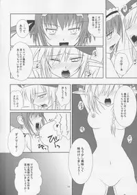 (C76) [VENOM (Mori Marimo, ZIN)] BtoC (Queen's Blade)