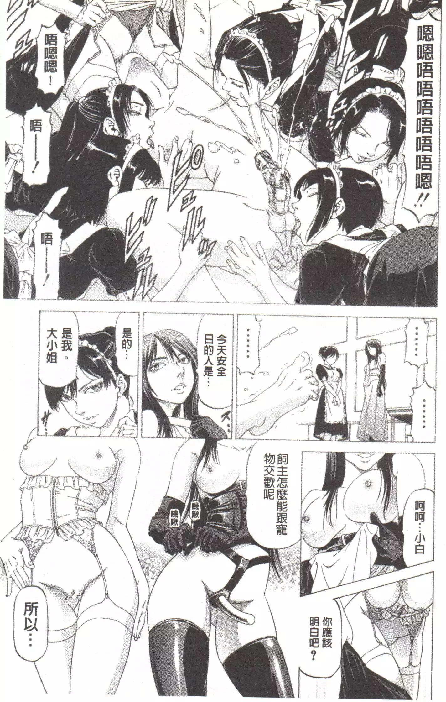 Kono Hentai Yarou! | 这个变态的家伙!