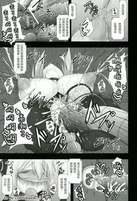 Shield Knight Elsain Vol.11 "NETHER LABORATORY"