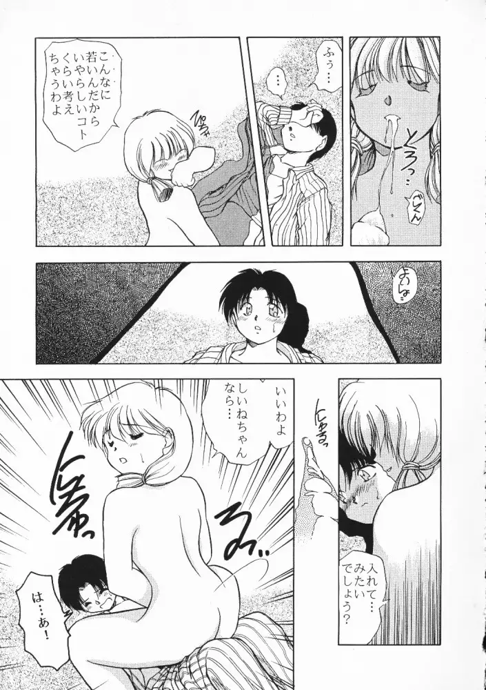 Chou Sairoku PINKISH COLLECTION