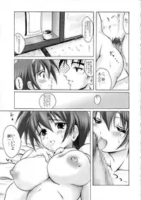 [Fullmetal Madness (Asahi)] R-Type (Kizuato)