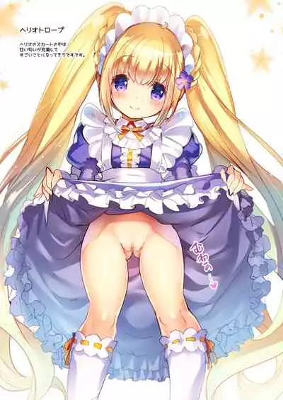 Lovely Flower Collection