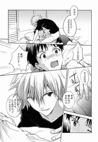 (C80) [Cassino (Magarikoji Lily)] LOCK'N' UP! (Neon Genesis Evangelion)