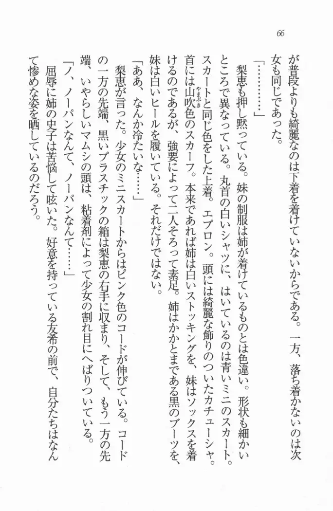 メイド喫茶 猫の隠れ家