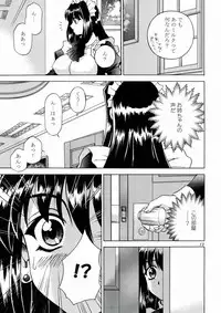 (C60) [Narimasuya (Akiba Wataru)] DOLLS DIARY 4