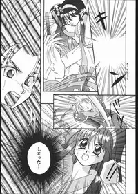 (CR17) [Dotou no M Kikaku (Various)] RANBU (Samurai Spirits)