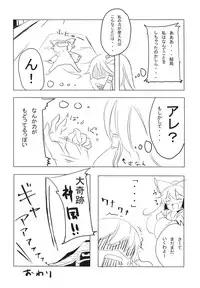 (Reitaisai 5) [CRAFT-GEAR (Oke)] super wakimiko time (Touhou Project)