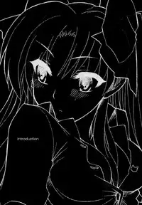 (C71) [Shinpakusu Teika (Usami Rui)] :ragtime (Fate/stay night) [Chinese]