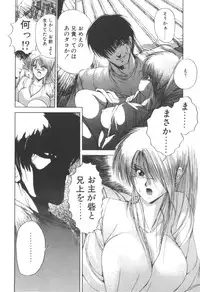 [Makoto Fujisaki] Dark Wirbel Vol 2