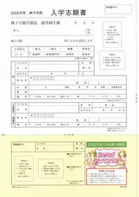 Canvas Visual Fan Book