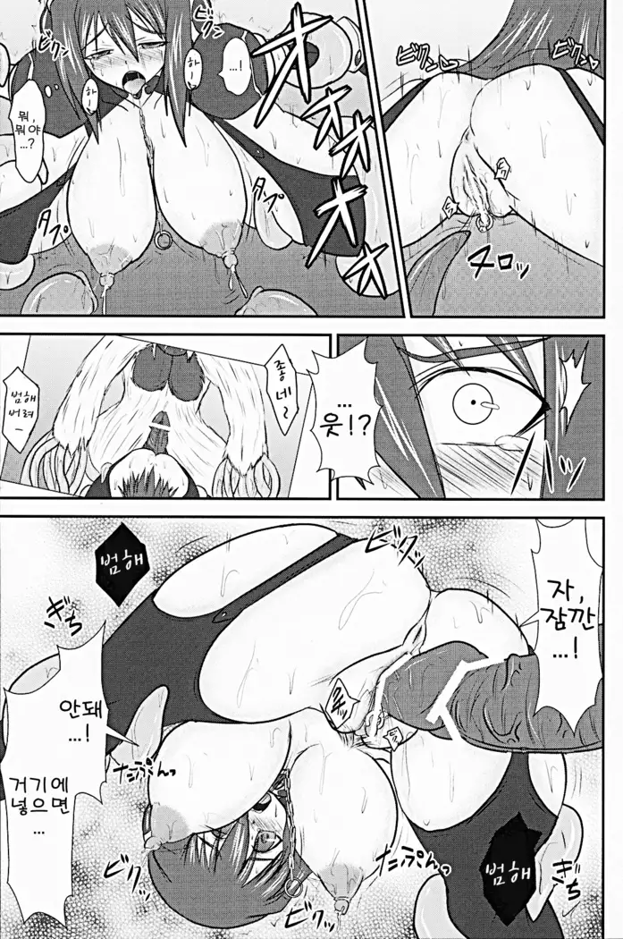 Shield Knight Elsain Vol. 9 SLAVE COLOSSEUM