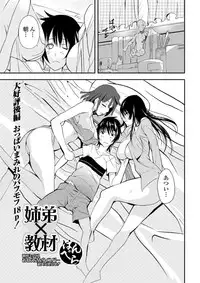 Jun-ai Kajitsu 2010-11 Vol.31 [Digital]