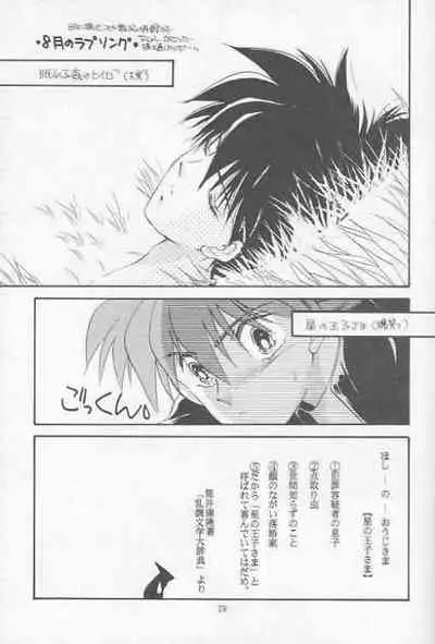 [Passport Shinsengumi (Matsumoto Yuuka)] HALF & HALF (Gundam Wing)