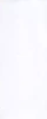 [Shark Yaminabe] In-nyu 100%