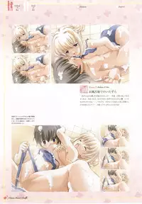 clover heart's visual fan book