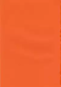 (C70) [Hijouguchi (TEI-OH-K-TAKAMURO)] Fushigi Na Negima! (Mahou Sensei Negima!)