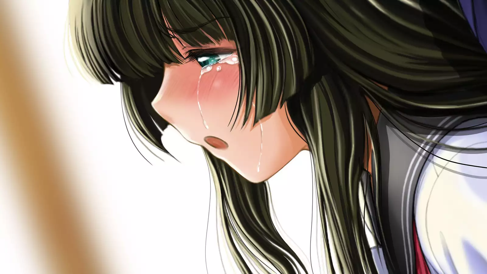 Dohentai ni sareteyuku seijyunshimai no dosukebe monogatari