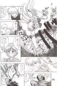 [BLACK DOG (Kuroinu Juu)] Star Platinum (Bishoujo Senshi Sailor Moon)