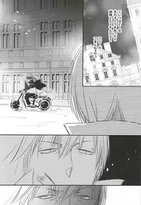 (Ikai Toshi no Arukikata 2) [PizzaBurger (Mayo)] SEEDS OF HAPPINESS (Kekkai Sensen)