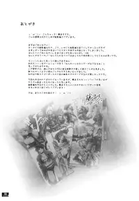 (C78) [Fujiya Honten (Thomas)] Hunter's Bible (Monster Hunter) [English] [FUKE]