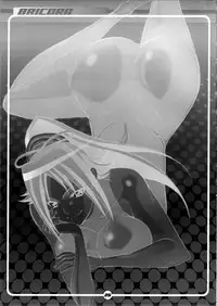 (C72) [Diogenes Club (Haikawa Hemlen)] BRICOLA (Bleach) [ENG] [Doujin-Moe.us]