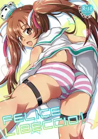 (SHT2016 Haru) [MegaSoundOrchestra (Sanwaribiki)] Felice Libeccio! (Kantai Collection -KanColle-)