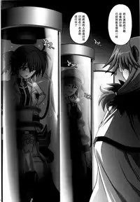 (COMIC1☆4) [Cyclone (Izumi, Reizei)] 667 KAI (Mahou Shoujo Lyrical Nanoha) [Chinese] [脸肿汉化组]