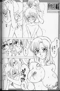 (C64) [LUCK&PLUCK! (Amanomiya Haruka)] MaryuKira Machine (Gundam SEED)