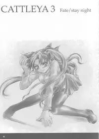 (C67) [Yakan Hikou (Inoue Tommy)] CATTLEYA 3 (Fate/stay night)