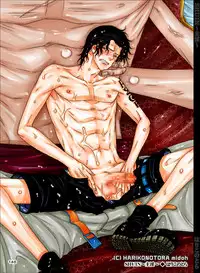 [Hariko no Tora (Midoh Torako)] SHUIN (One Piece) [Digital]