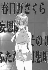 (C64) [Sarurururu (Doru Riheko)] Holic 3 Hallucination (Street Fighter)