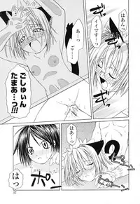 [Shizaki Masayuki] Ikeike!! Nekoro Maid