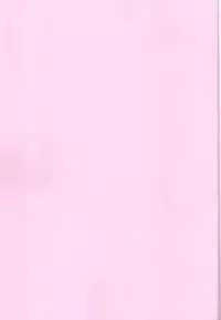 (COMIC1☆9) [Sekai Kakumei Club (Ozawa Reido)] Kira Mina Escalation (Go! Princess PreCure)