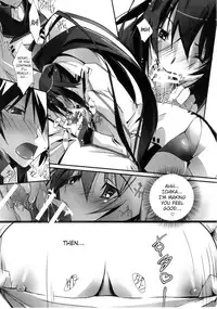 (SC50) [RYU-SEKI-DO (Nagare Hyo-go)] LS Lovers Striker (IS <Infinite Stratos>) [English]