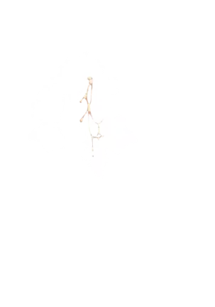 Yuuka-Chirabatta Daiyoukai no Kakera-