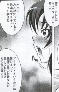 (C82) [K2 Tomo no Kai (Mizuki)] March Campaign (Smile PreCure!)