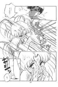 (C48 [Misty Midnight (Shirasaka Biyu)] Bikou (Bishoujo Senshi Sailor Moon)