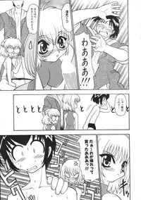 Colorful Bee 1999-07